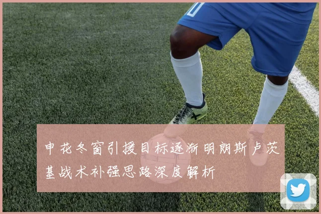 申花冬窗引援目标逐渐明朗斯卢茨基战术补强思路深度解析