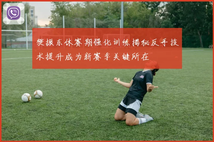 樊振东休赛期强化训练揭秘反手技术提升成为新赛季关键所在