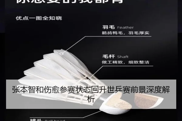 张本智和伤愈参赛状态回升世乒赛前景深度解析